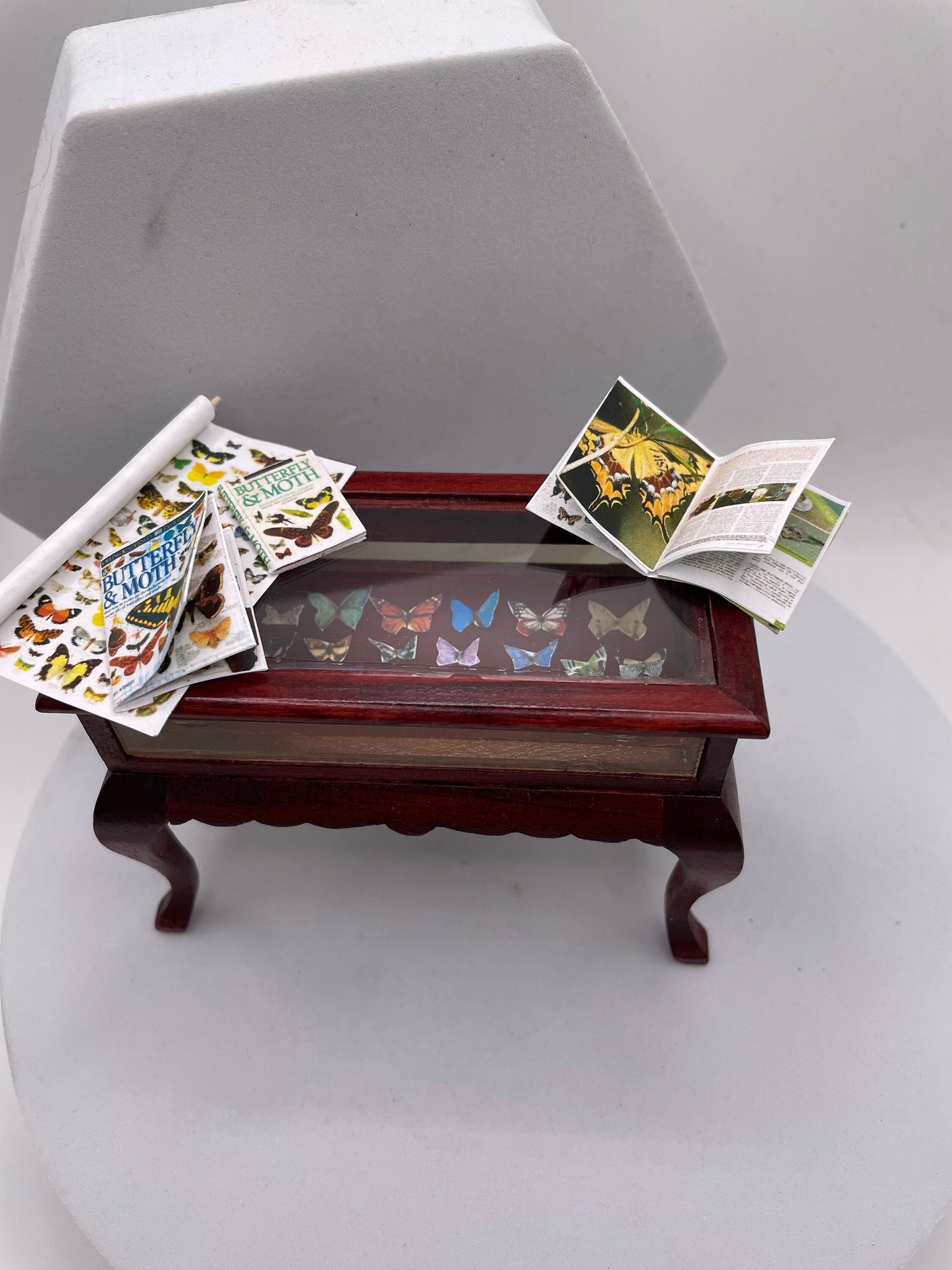 Dolls House Miniatures - 1/12th Lepidopterist ( butterfly ) Curio Table - Vera Collective