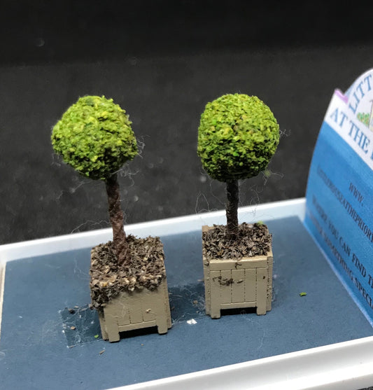 Dolls House Miniatures ( 1/48th - 1:48th - 1/4&quot; - Quarter Inch Scale ) Luxury Dressed  topiary bay trees x2 -